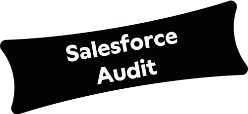 Salesforce Audit