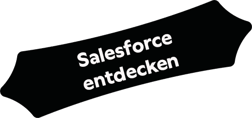 Salesforce entdecken