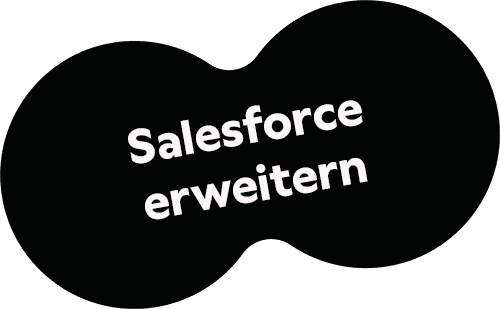 Salesforce erweitern