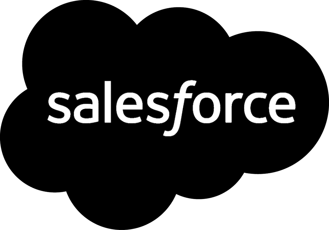 squiis 3 Salesforce Partner