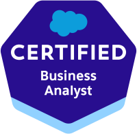 Salesforce Business Analyst